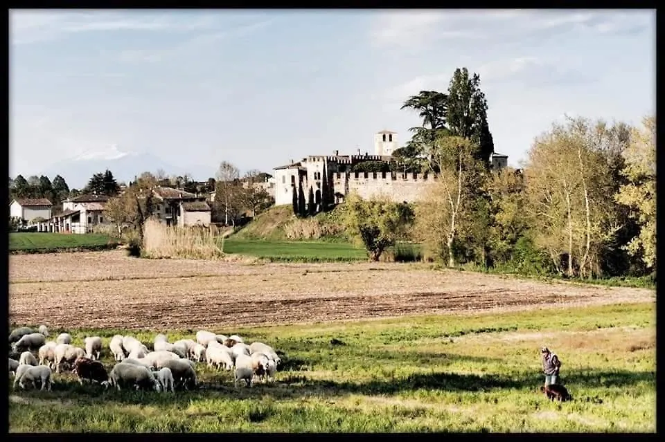 Le Camere Di Virgilio Монцамбано
